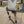 Skateboarder doing tricks on a sidewalk in the city while wearing the Dirty Donny x Mike Vallely Collaboration Heather Gray Hoodie and Black Logo Hat