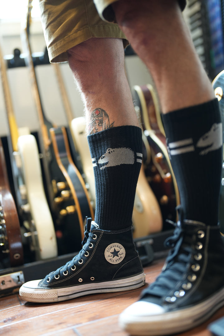 Mike V and the Rats, Bats, Cats